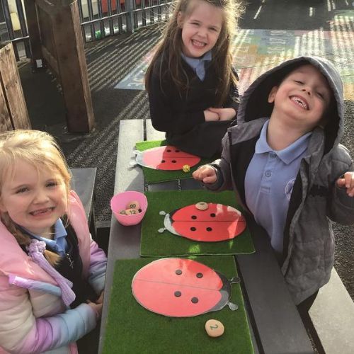Ladybug Doubles