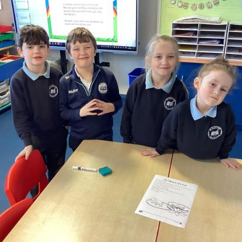 Literacy Writing - Explanation Writing - Familiarisation