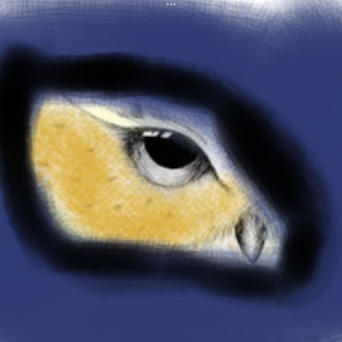 Some examples of the wonderful digital animal eye art the children created using the Brushes Redux App.