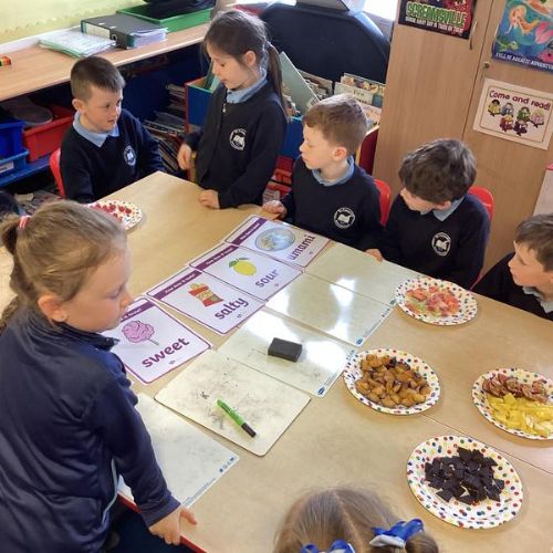 Taste and Smell Exploration