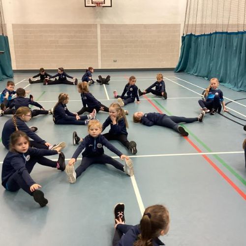 Gymnastics - Lesson 1: Body Shapes and Positions