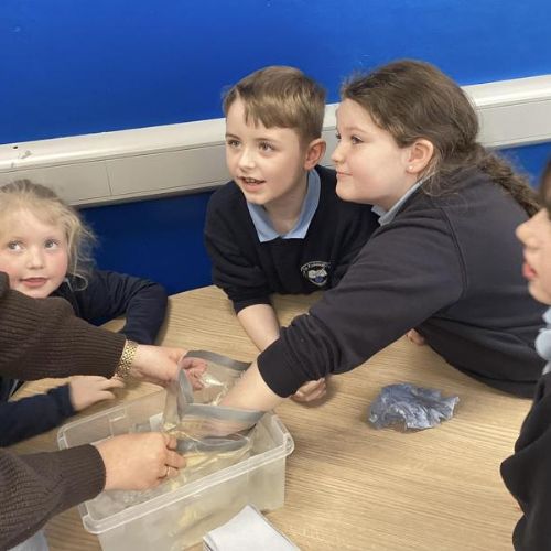 P4A took part in an exciting experiment to investigate how Polar animals keep warm!