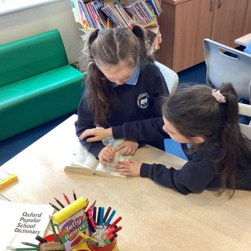 Dictionary Detectives!