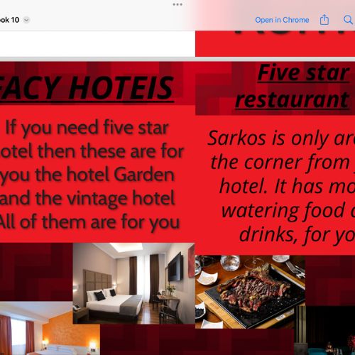 Persuasive Leaflets