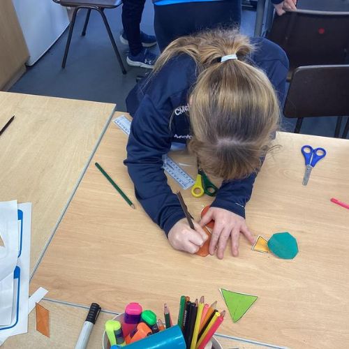 We have been exploring vertical, horizontal and diagonal lines are and which lines different 2D shapes have in them by folding and highlighting the lines.