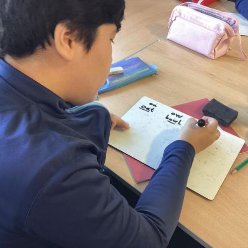 WALT spell words with the ‘oa’ sound