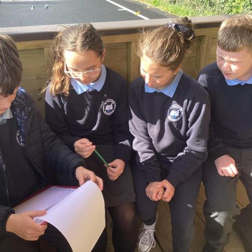 Outdoor Problems and Investigations - Trial and Error - 11.09.24