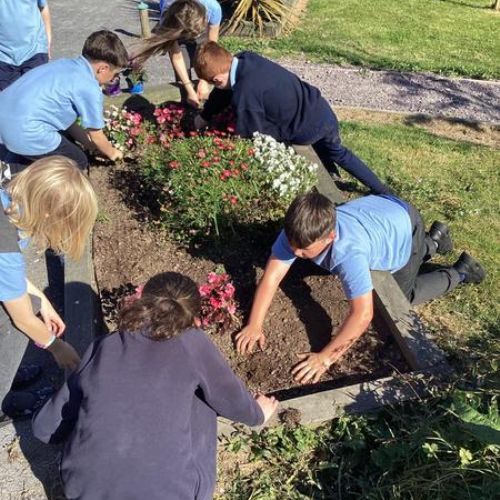 Our P7 Planter Box - Tuesday 17th September