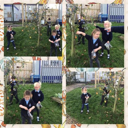 WAU: Autumn walks