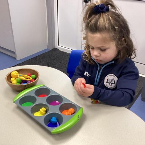 Week beginning 20th January 2025: We are learning to sort objects by colour