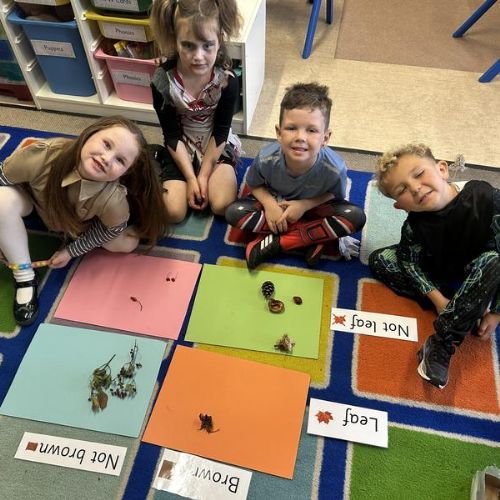 Sorting using a Carroll Diagram🎃🍂🍁