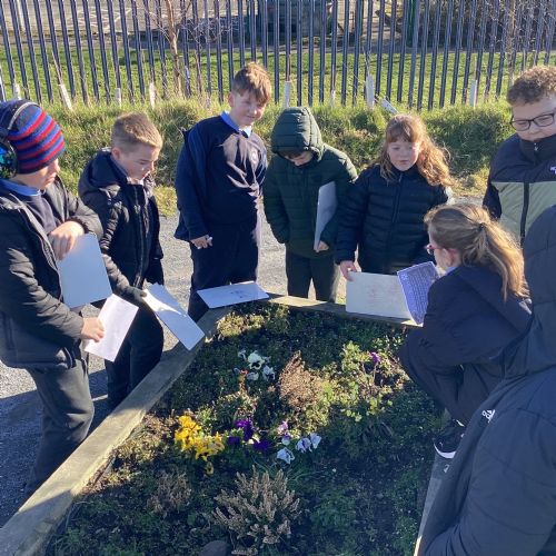 Outdoor Maths Trail 🌈 🌿