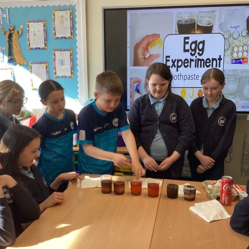 Science Week 2025- Wednesday 19th March