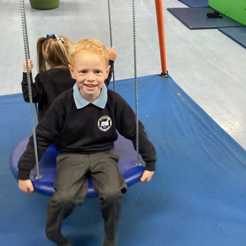 Introduction to Sensory Circuits