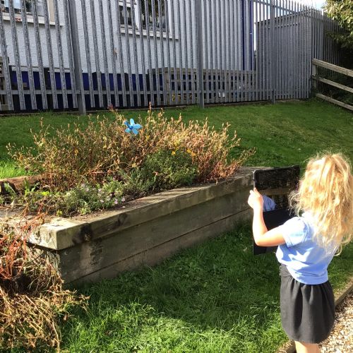 Living & Non-living Things