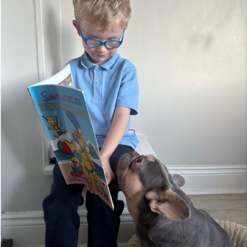 Book Week NI 2025 📚