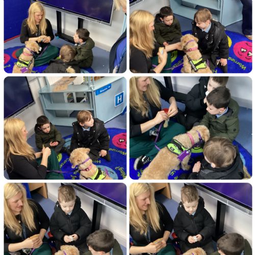 Therapy Dog Sessions