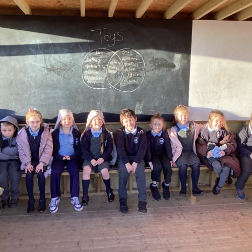 Using Venn Diagrams to Sort Toys