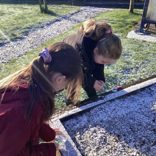 ❄️ Exploring Frost ❄️