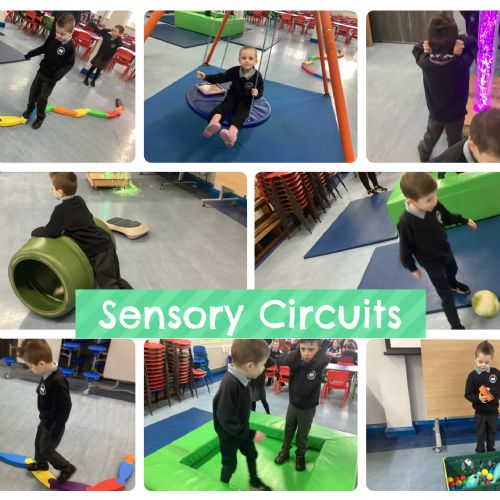 Sensory Circuits