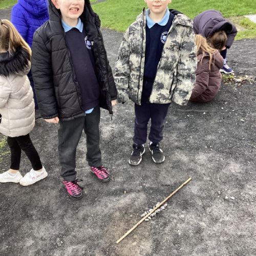 Symmetrical Patterns