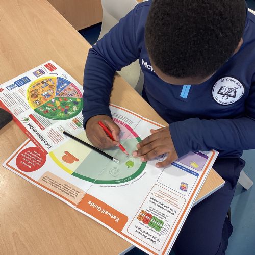 WALT develop our understanding of the importance of a balanced diet.