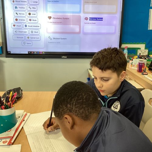 WALT learn about body parts and how they function.