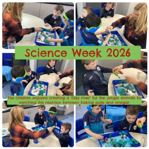 Science Week 2026