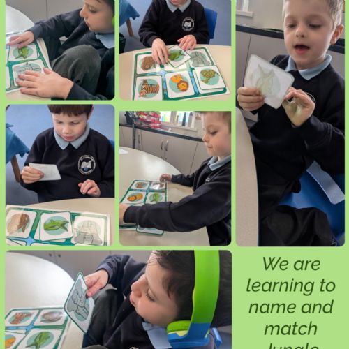 Naming and Matching Jungle Animals