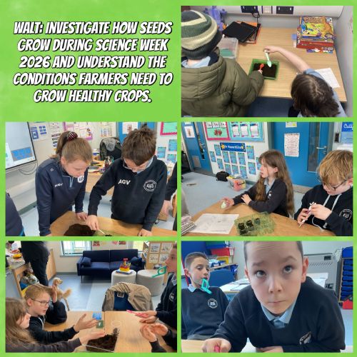 Science Week - Healthy Crops