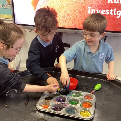 Science Week 2026 👩‍🔬🧑‍🔬