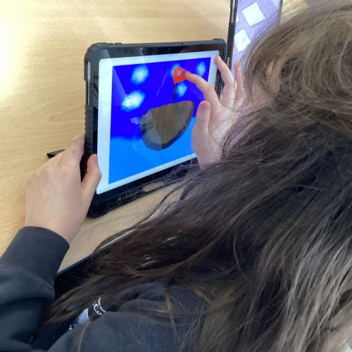 WALT use digital art software to create an image.