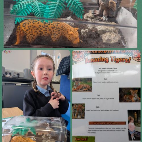 Science Week POWer Projects