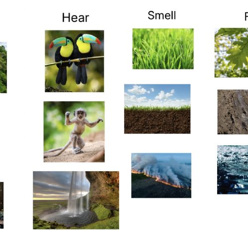 Digital Senses Mood Boards