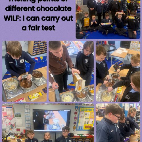 Chocolate Investigation