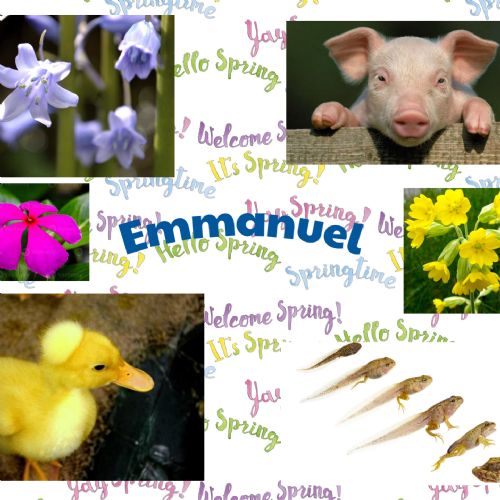 Spring Pic Collages