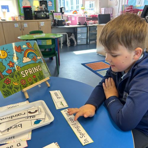 Spring sentence building🌼🌷🌸🐣