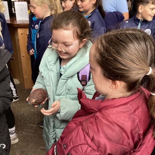 The Wonderful World of Chocolate!