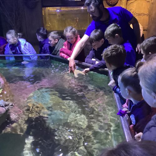 Exploris Aquarium Trip