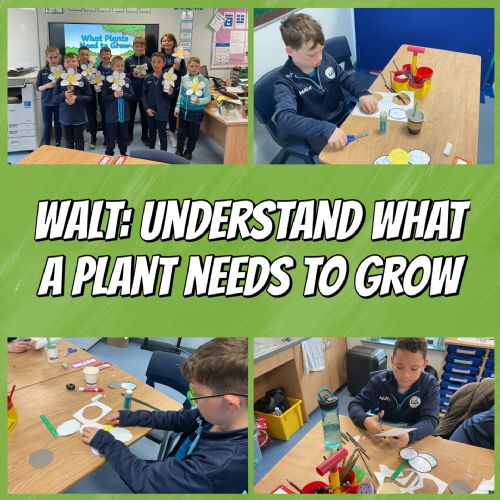 What a Plant Needs to Grow