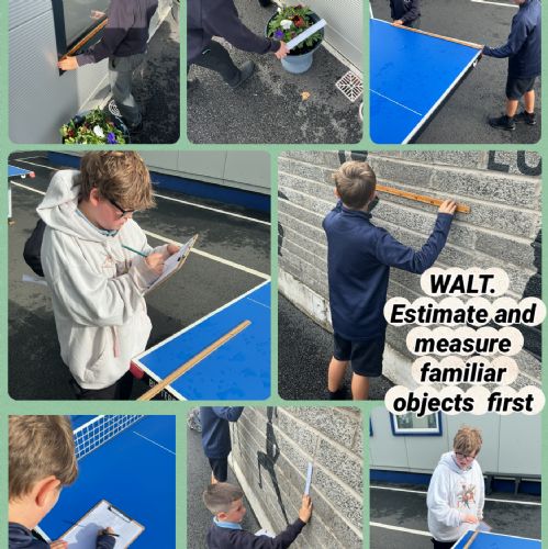 WALT: Estimate and Measure familiar objects.