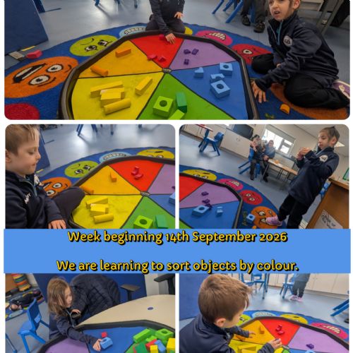 Sorting by Colour