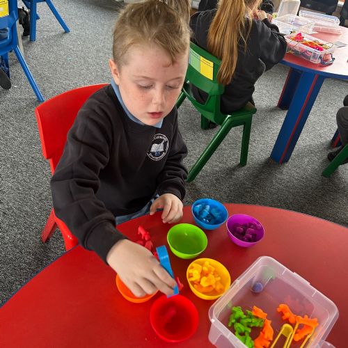 Fine motor Skills work