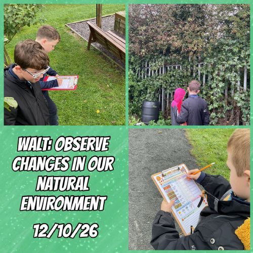 Observing Changes in Our Natural Environment